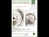 Rolex Datejust 31 Oyster Madreperla/Mother Of Pearl Arabic  Watch  68240